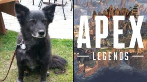 【悲報】こんな隠し要素があったなんて・・・