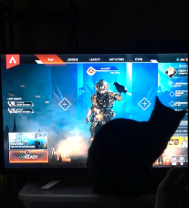 【癒やし】メインメニューのカーソルを追いかける猫が可愛すぎる