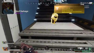 ミラージュ「金アーマーを着たら野良がうるさかったから落としてやったぜ」