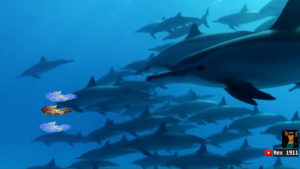 【APEX】ラグで平らになったミラージュのクソコラ動画