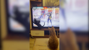 APEXファン「ロビー画面のカーソルで猫と遊んでみた」