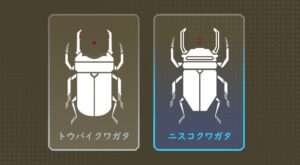 【APEX】HCOGのサイトを「クワガタ」と呼ぶプレイヤー向けの画像