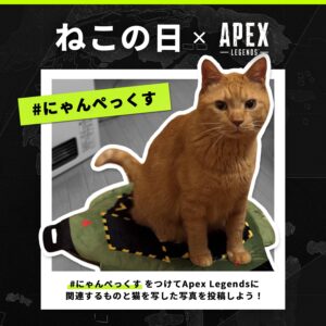 【APEX】ねこの日×APEX企画 #にゃんペックス