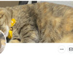 【APEX】REJECTにAxis選手が加入